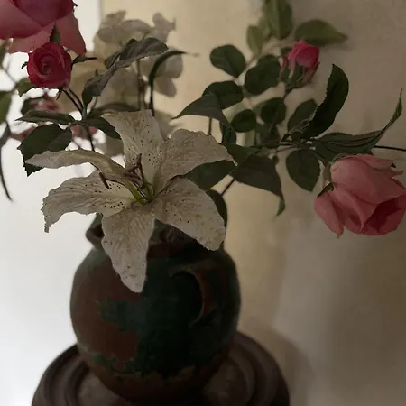 Maison Lotoise Gramat Tatil Evi